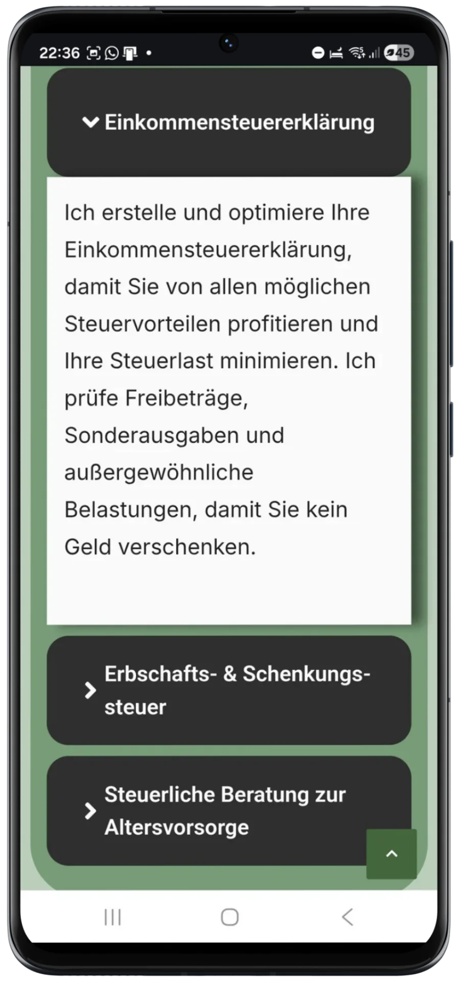 Detaillierte Leistungsbeschreibung mit Fokus auf steuerliche Services und strukturierte Informationsdarstellung.