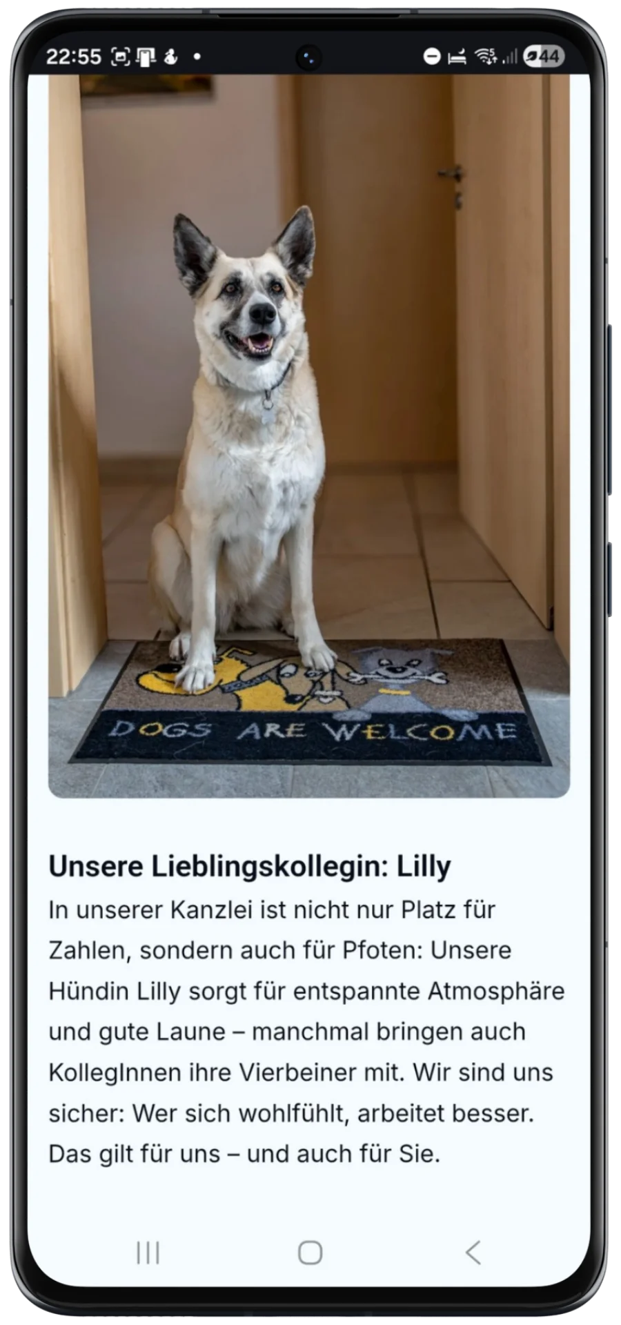 Portrait eines freundlichen Bürohundes, der für ein entspanntes Arbeitsklima in einer modernen Steuerberatung steht und Kundennähe symbolisiert.